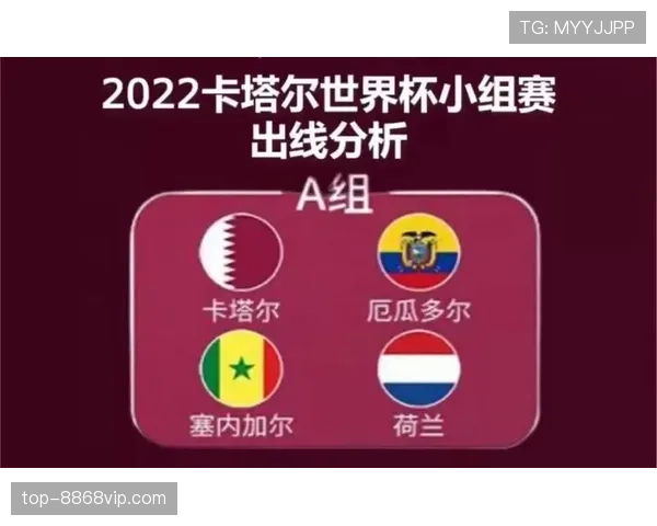 世界杯E组出线形势全面分析